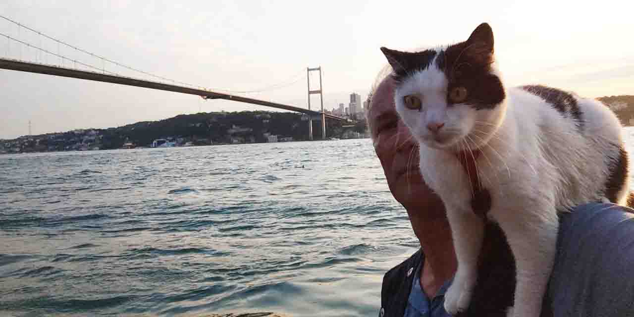 Eskişehir'in meşhur kedisi İstanbul'da boy gösteriyor
