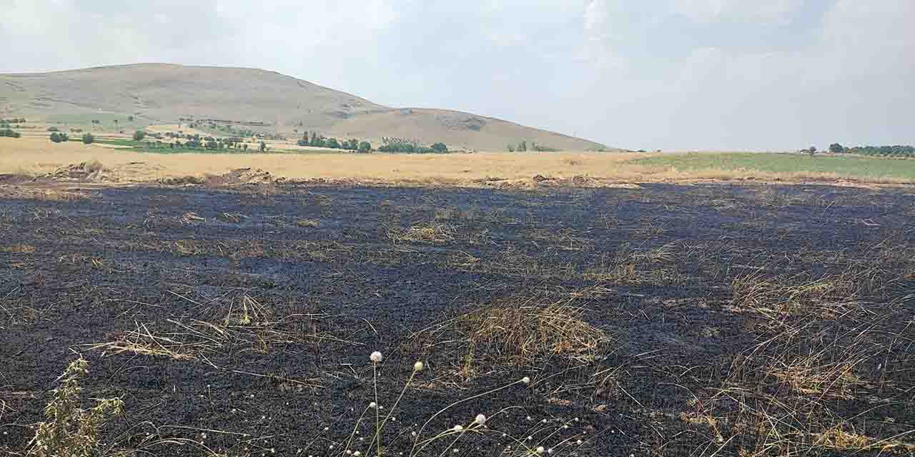 Afyonkarahisar'da arazi yangını: 3 dönüm zarar gördü