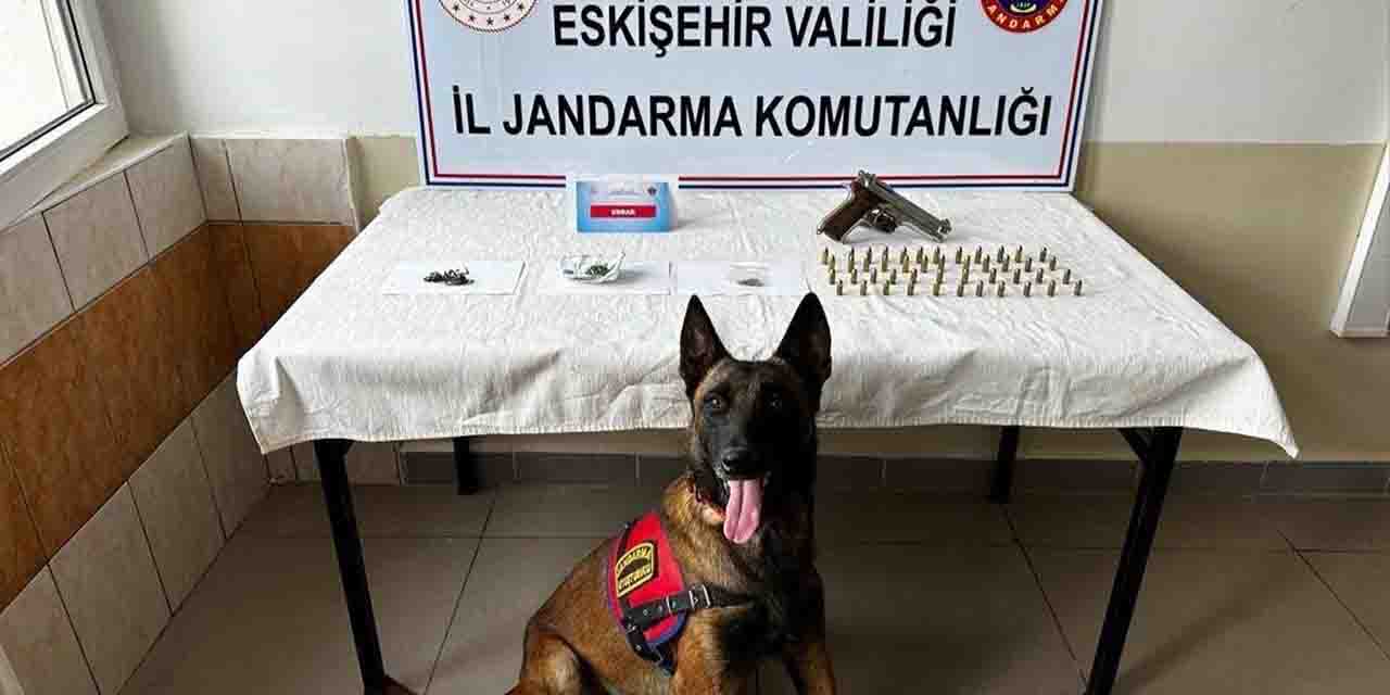 Eskişehir’de mezarlıkta uyuşturucu yetiştirdiler