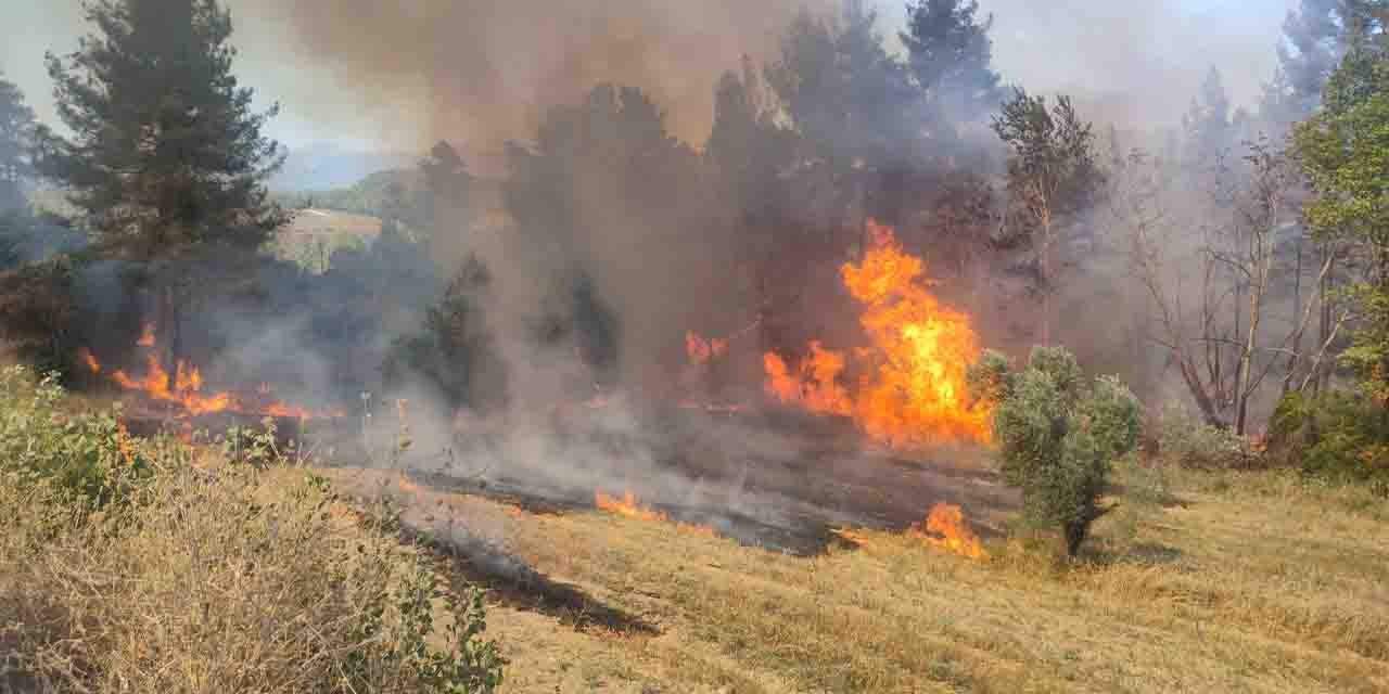 Burdur'da orman yangını: 3 dekarlık alan yandı