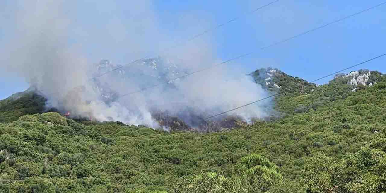 Antalya'da orman yangın paniği