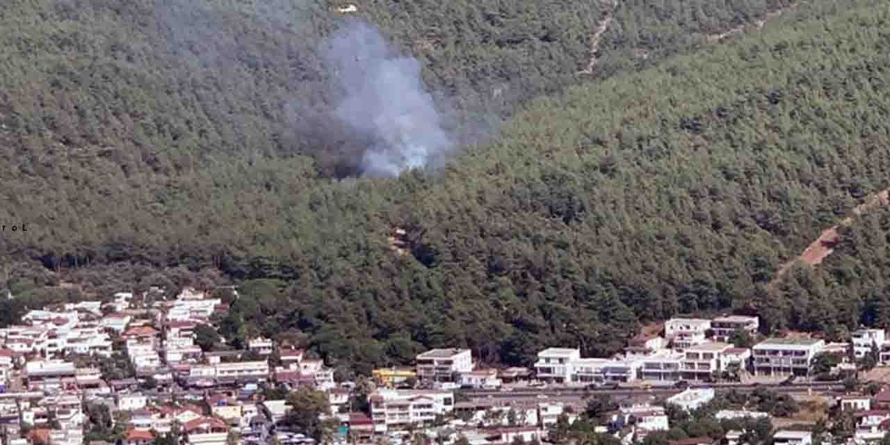 Muğla'da orman yangını