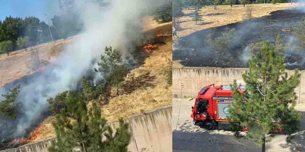 Eskişehir'de bir orman yangını daha