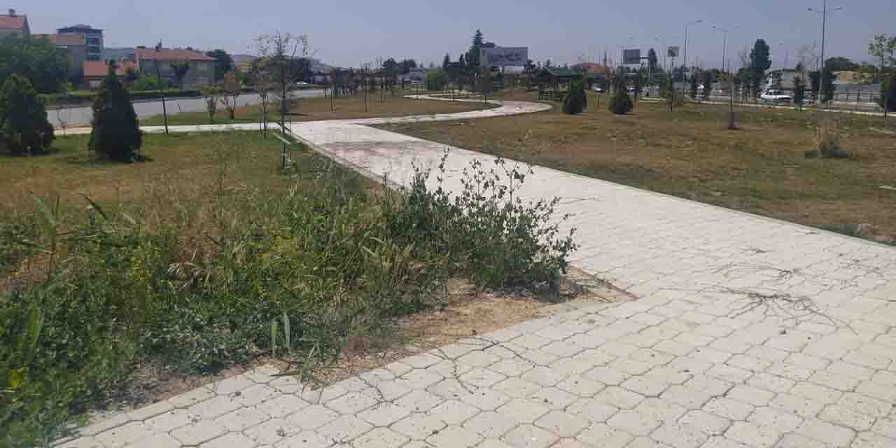Odunpazarı'ndan flaş açıklama: O park Büyükşehir'e ait!