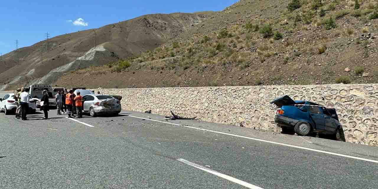 Erzincan'da trajik kaza