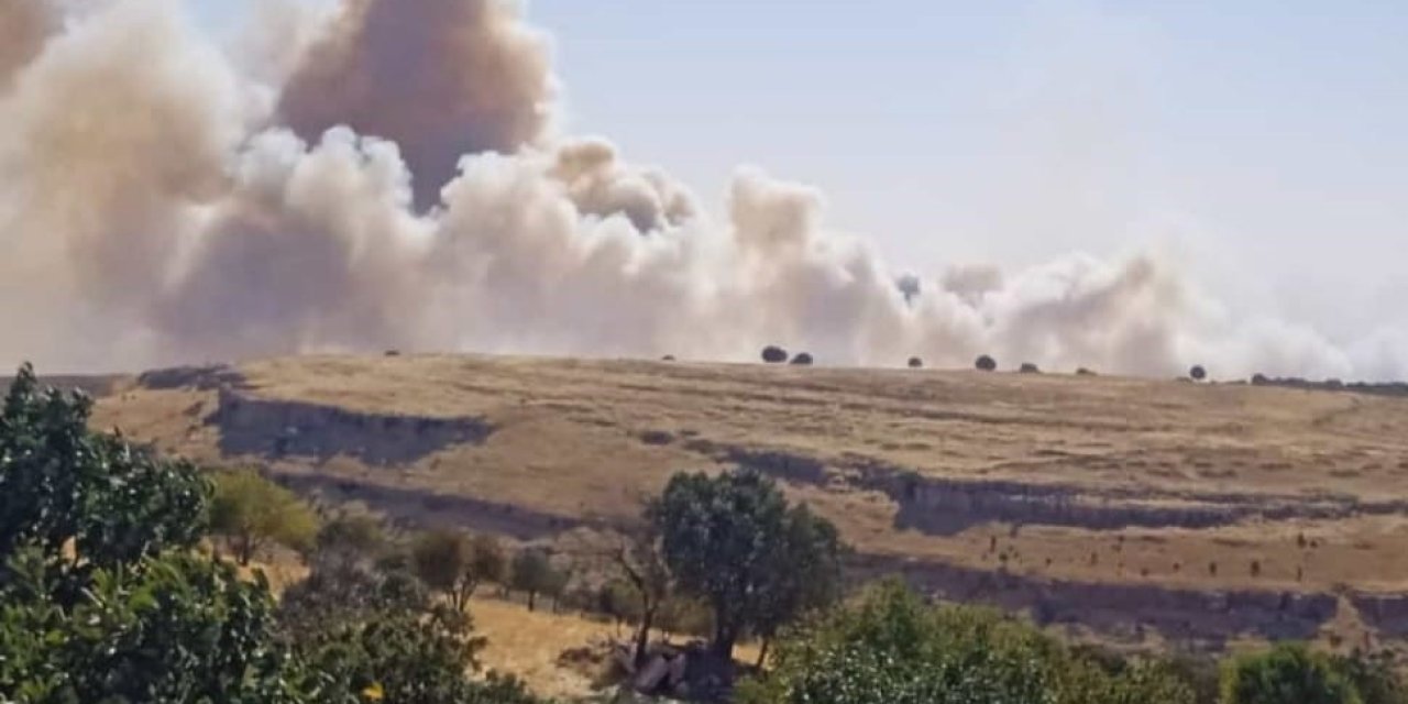 Mardin'de orman yangını