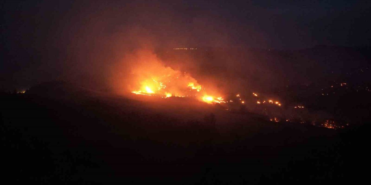 Adana’daki orman yangını dron ile görüntülendi