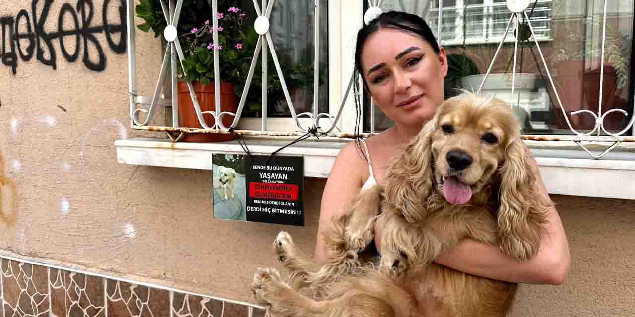 Eskişehir'de o köpek zehirlenerek mi öldürüldü?