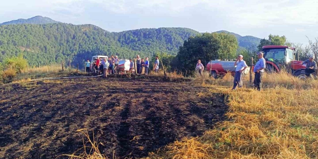 Tarla yangını ormana sıçramadan köylüler tarafından söndürüldü