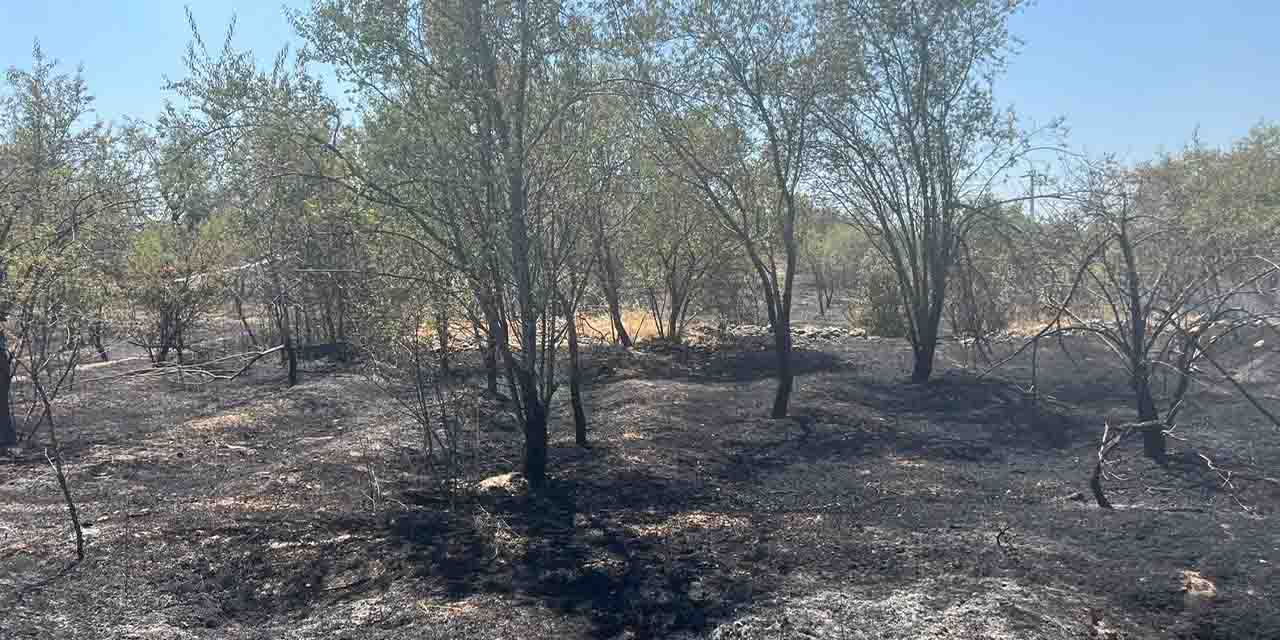 Burdur'da 50 dönüm arazi yangından zarar gördü