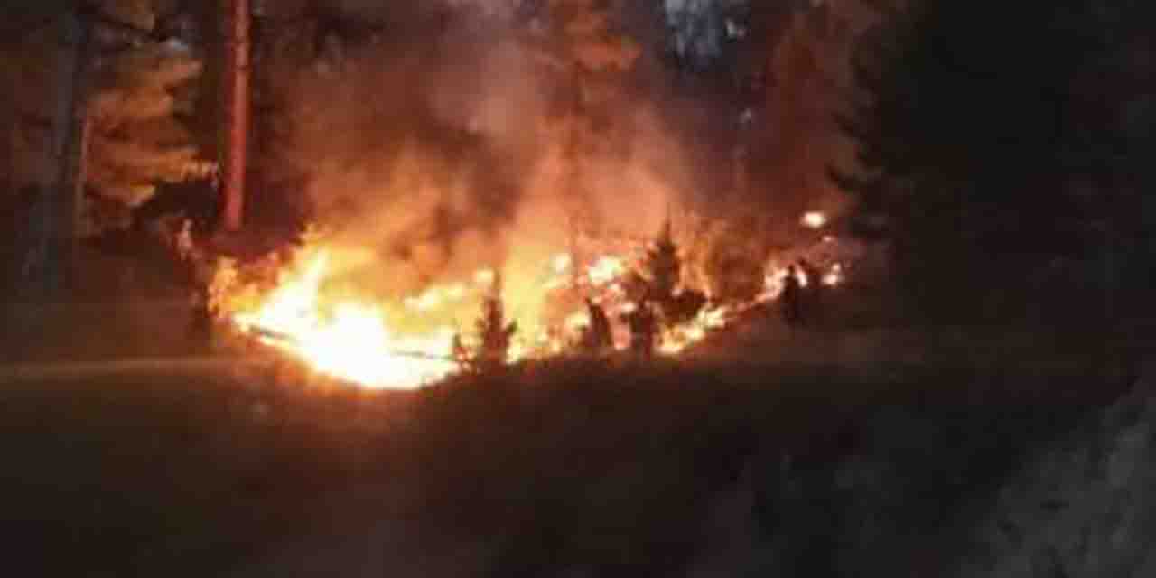 Adana'da orman yangını