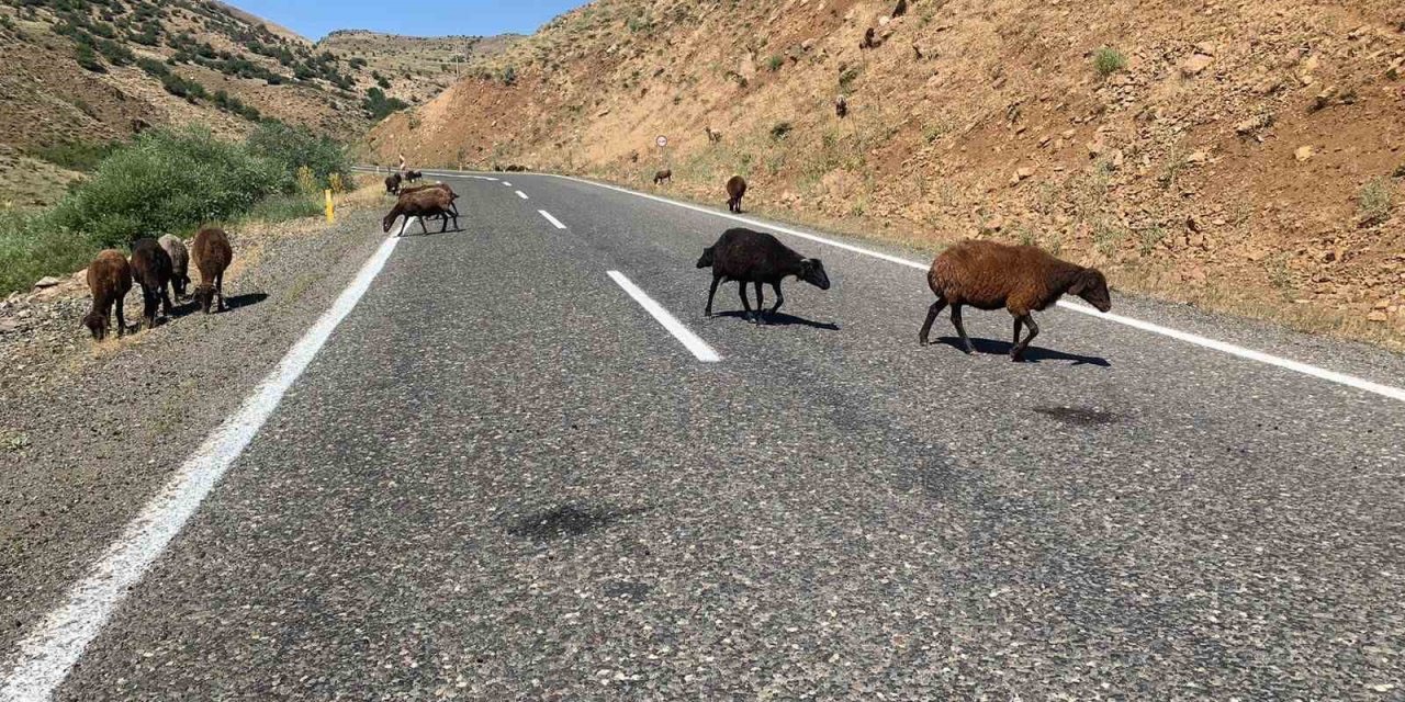 Erzurum Valiliğinden ceza açıklaması