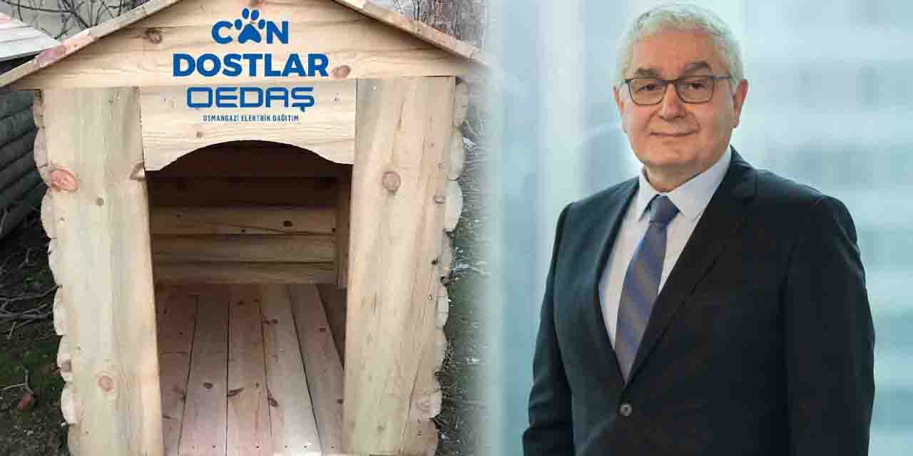 OEDAŞ 3 bin 700 kuruluşun arasında altın ödülün sahibi oldu