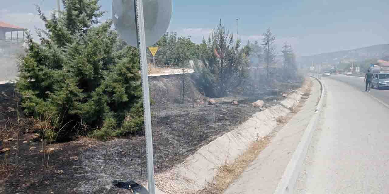 Sigara izmariti yangına neden oldu