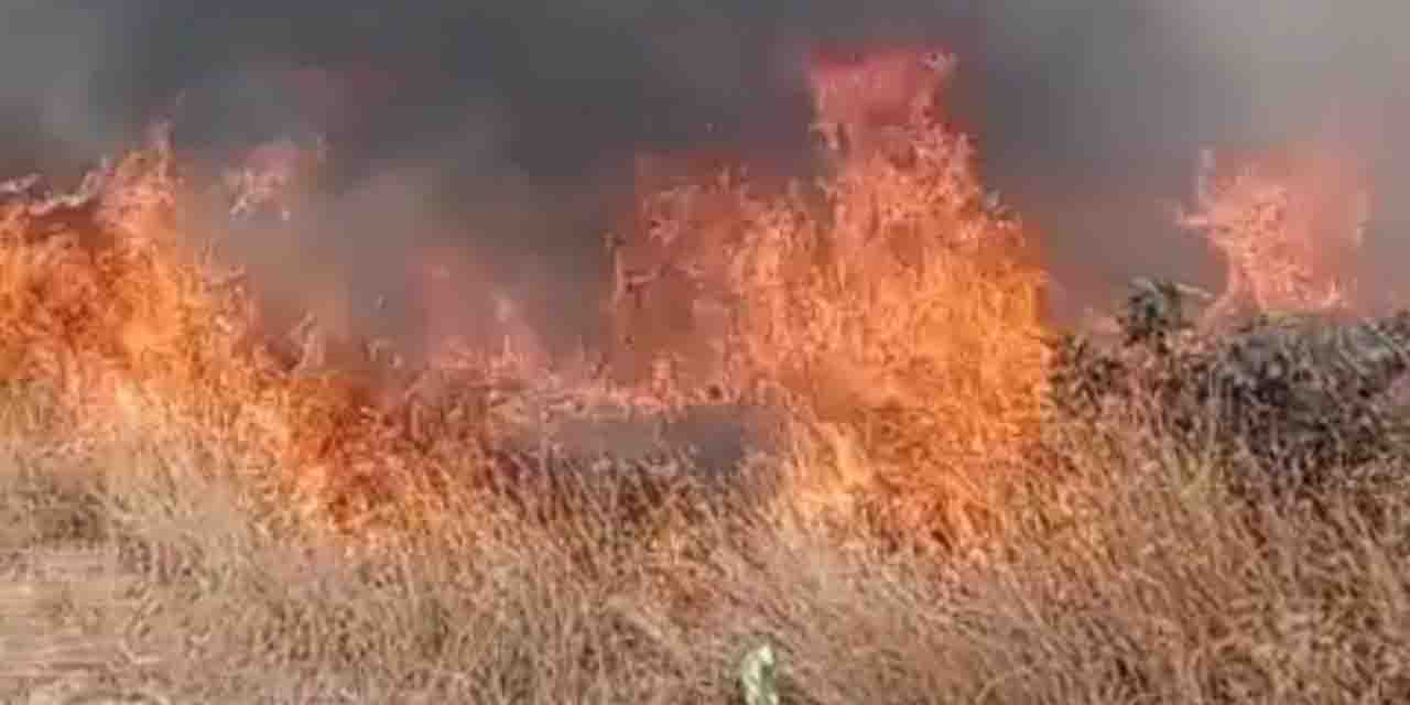Denizli'de çıkan yangın büyümeden söndürüldü