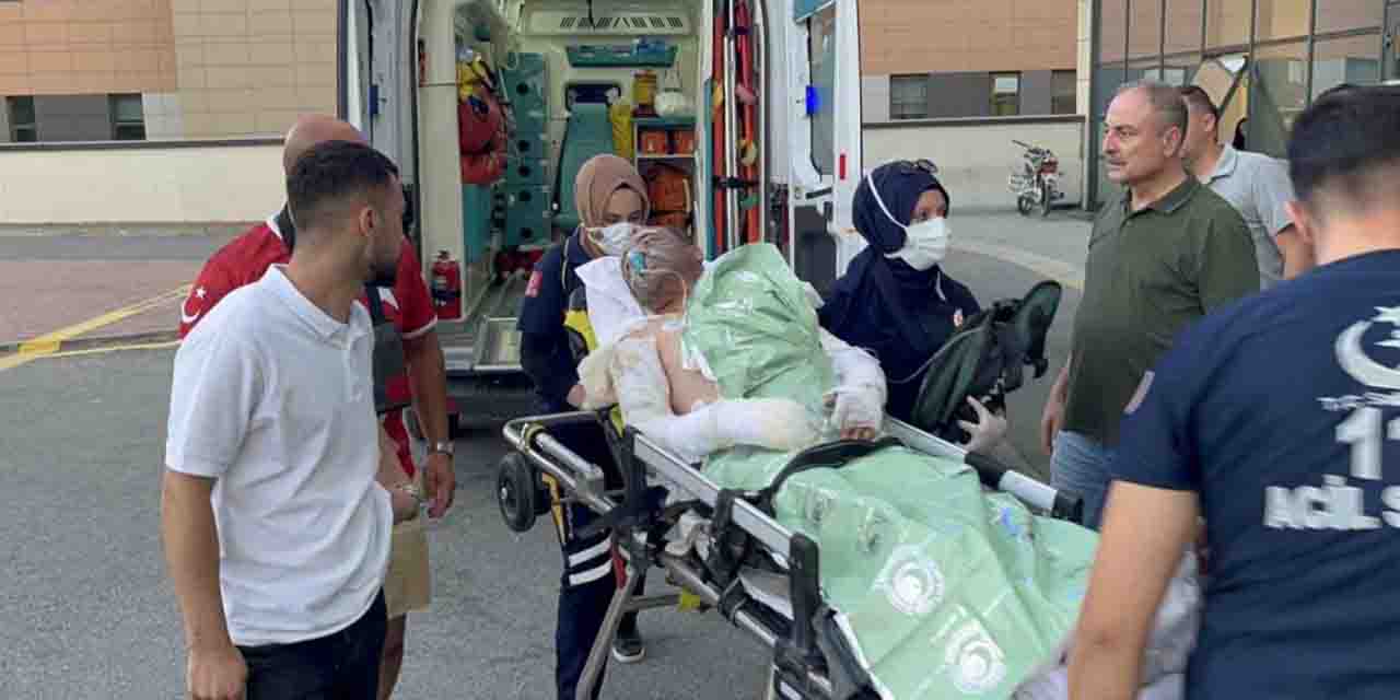 Kütahya'da orman yangını: Yaralananlar Eskişehir'e getirildi