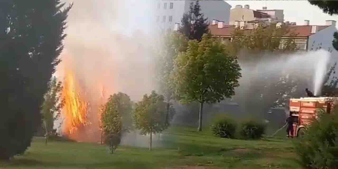 Eskişehir'de park yangını