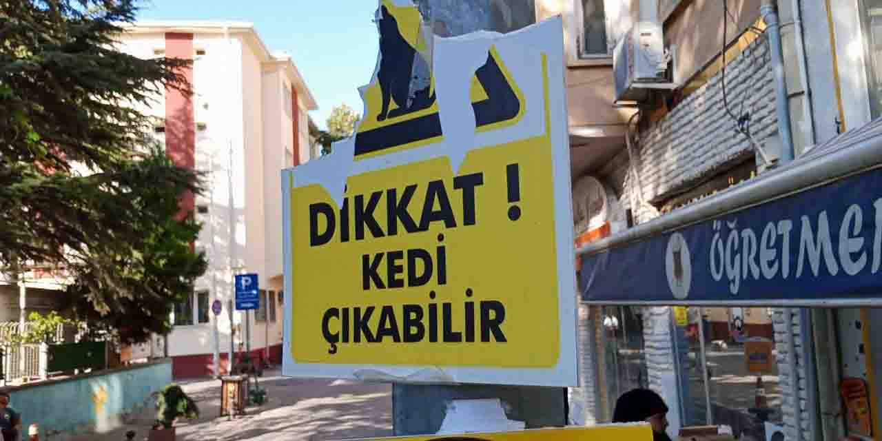 Eskişehir'de vandallar cirit atıyor