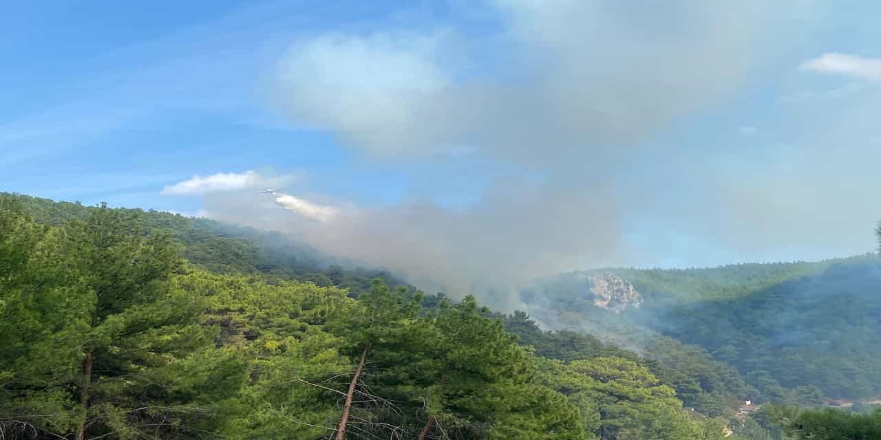 Çanakkale'de yangın paniği