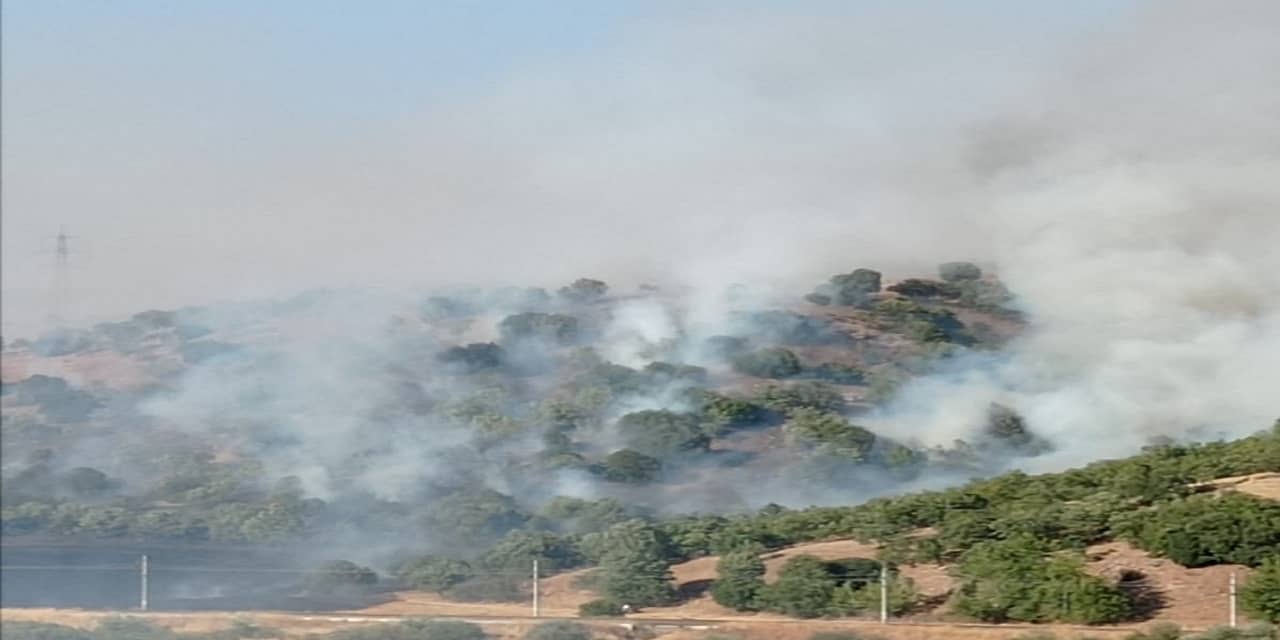 Adıyaman'da orman yangını
