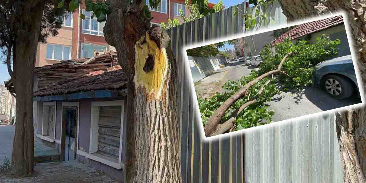 Eskişehir'de facianın eşiğinden dönüldü