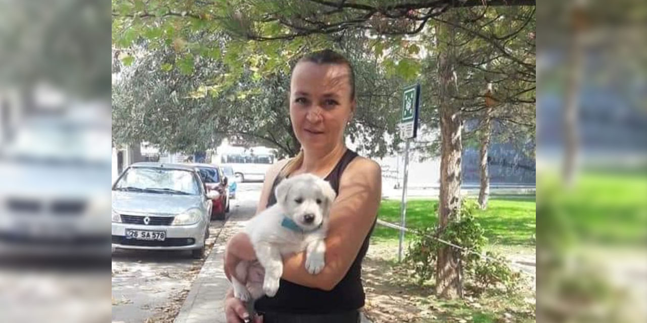 Nesrin Çiçek: Barınağın kapanması Eskişehir’in utancıdır
