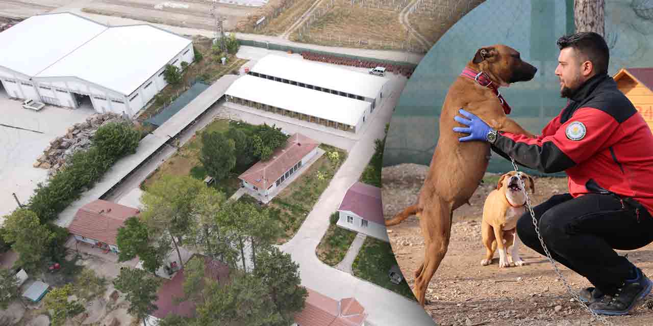 Eskişehir Tarım ve Orman İl Müdürlüğü'nün kararına mahkeme engeli!