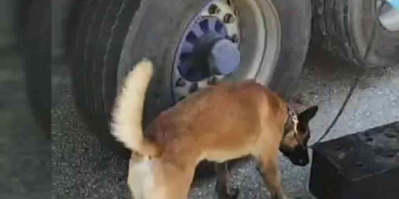 Bolu'da uyuşturucuyu öyle bir yere saklamışlar ki...