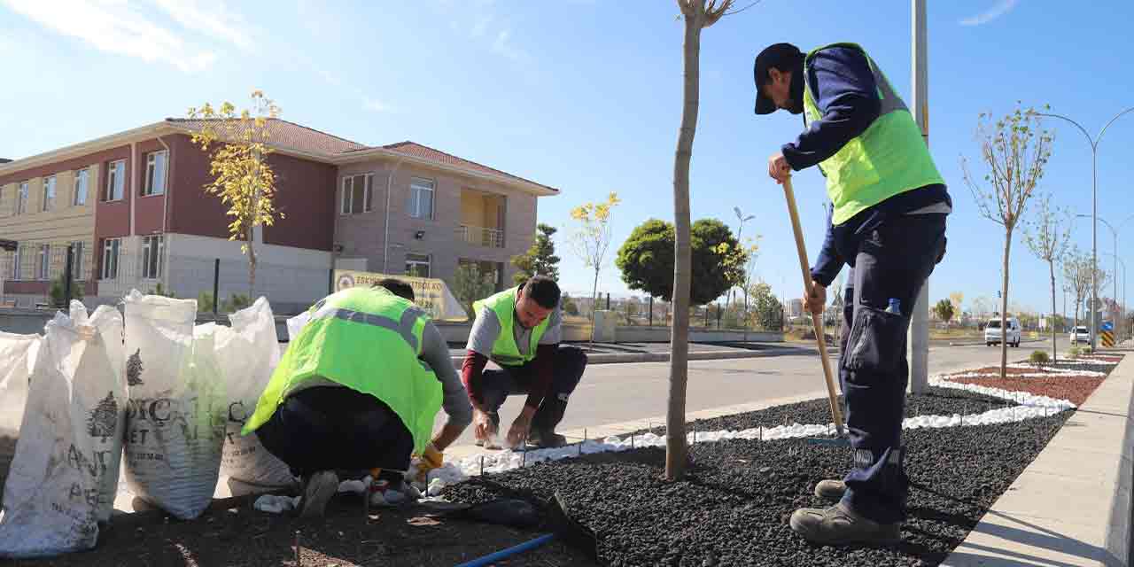 Eskişehir Büyükşehir Belediyesi'nden dikkat çeken proje!