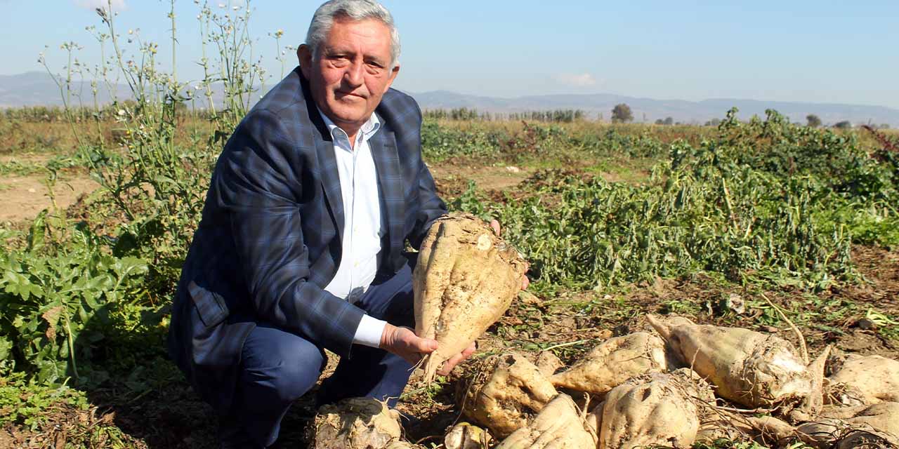 Pancar fiyatları Eskişehirli çiftçinin belini büktü