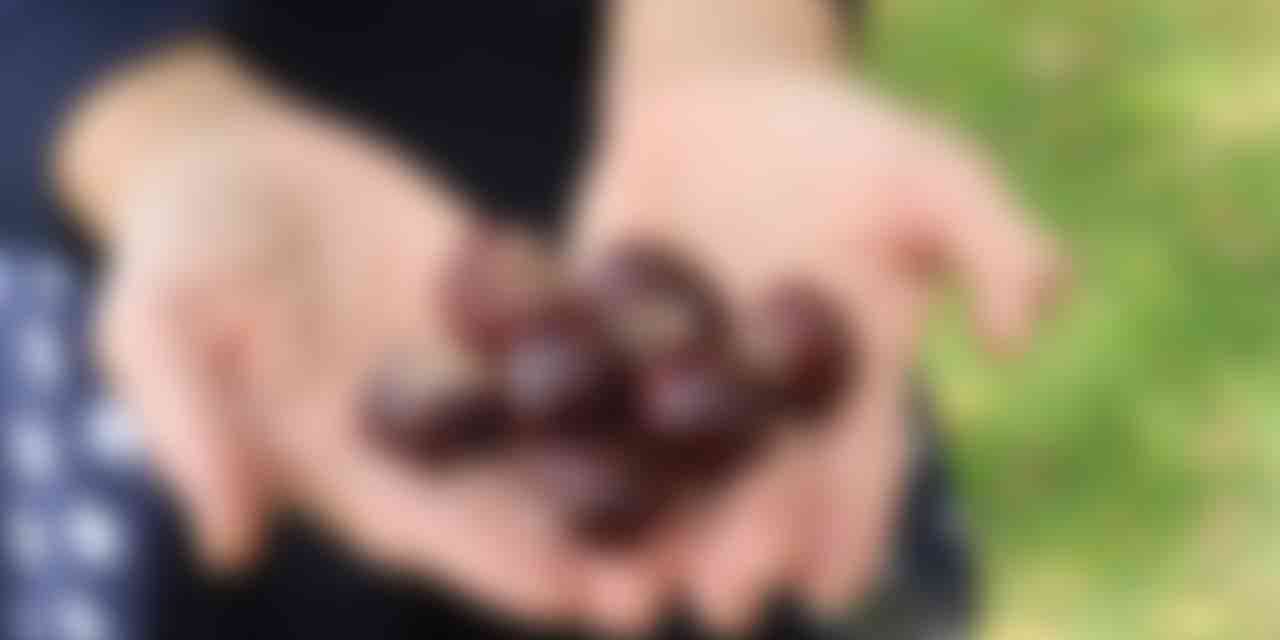 O bitkiye dikkat! Ciddi zehirlenmelere yol açabiliyor