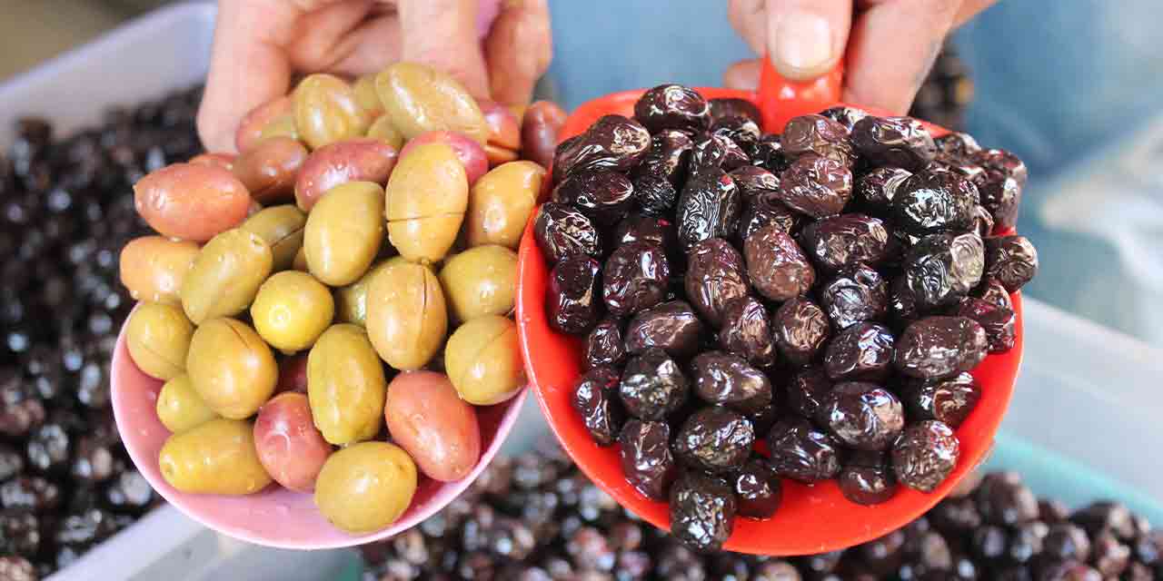 Zeytin seçiminde Eskişehirlilerin tercihi bakın ne oldu