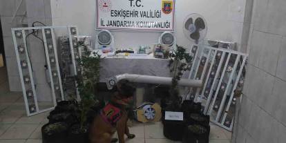 Seyitgazi'de uyuşturucu operasyonu