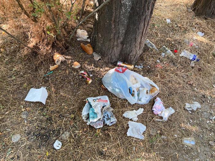 eskisehirde-koca-piknik-alanini-yerle-bir-ettiler-002.jpeg