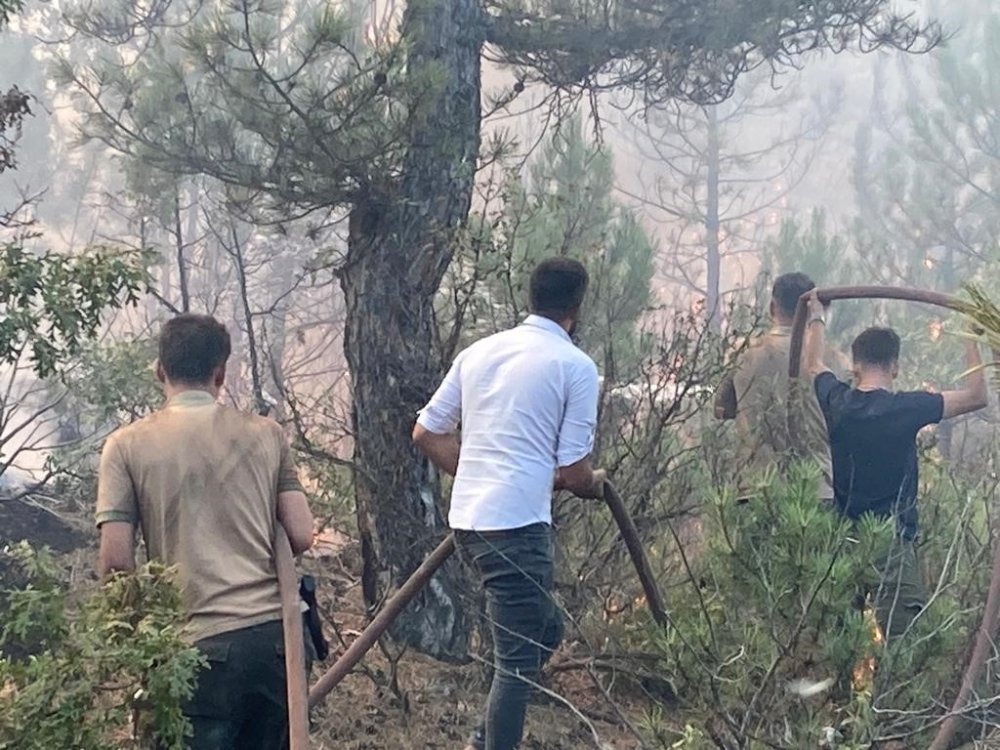 Seyitgazi yangınına havadan müdahale