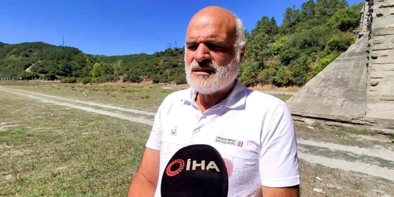 kopek-oluleri.jpg