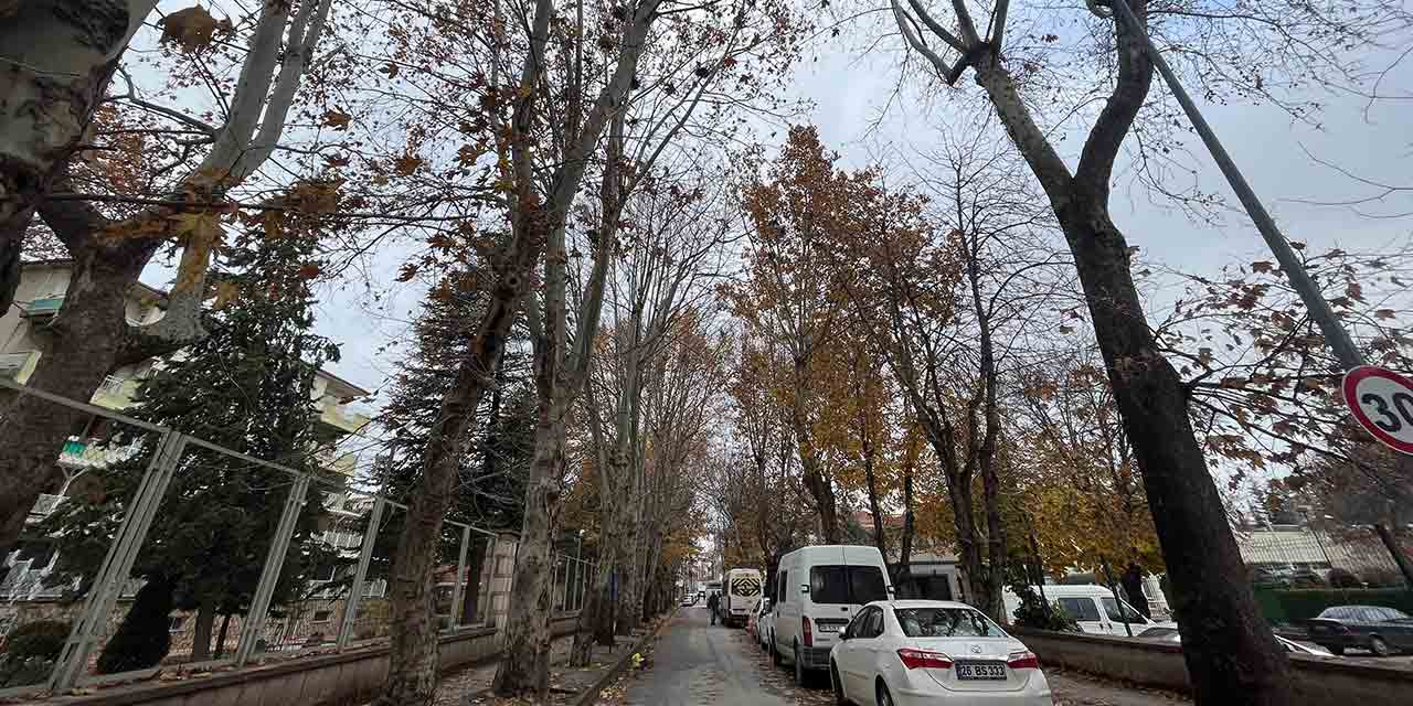 eskisehirin-sonbahar-manzarasi-gorenleri-buyuledi2.jpg