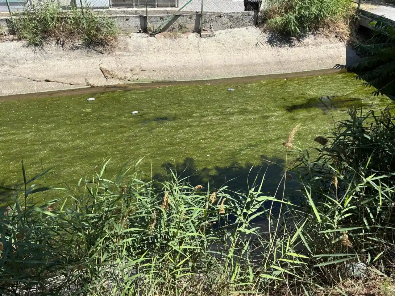 kanal.webp