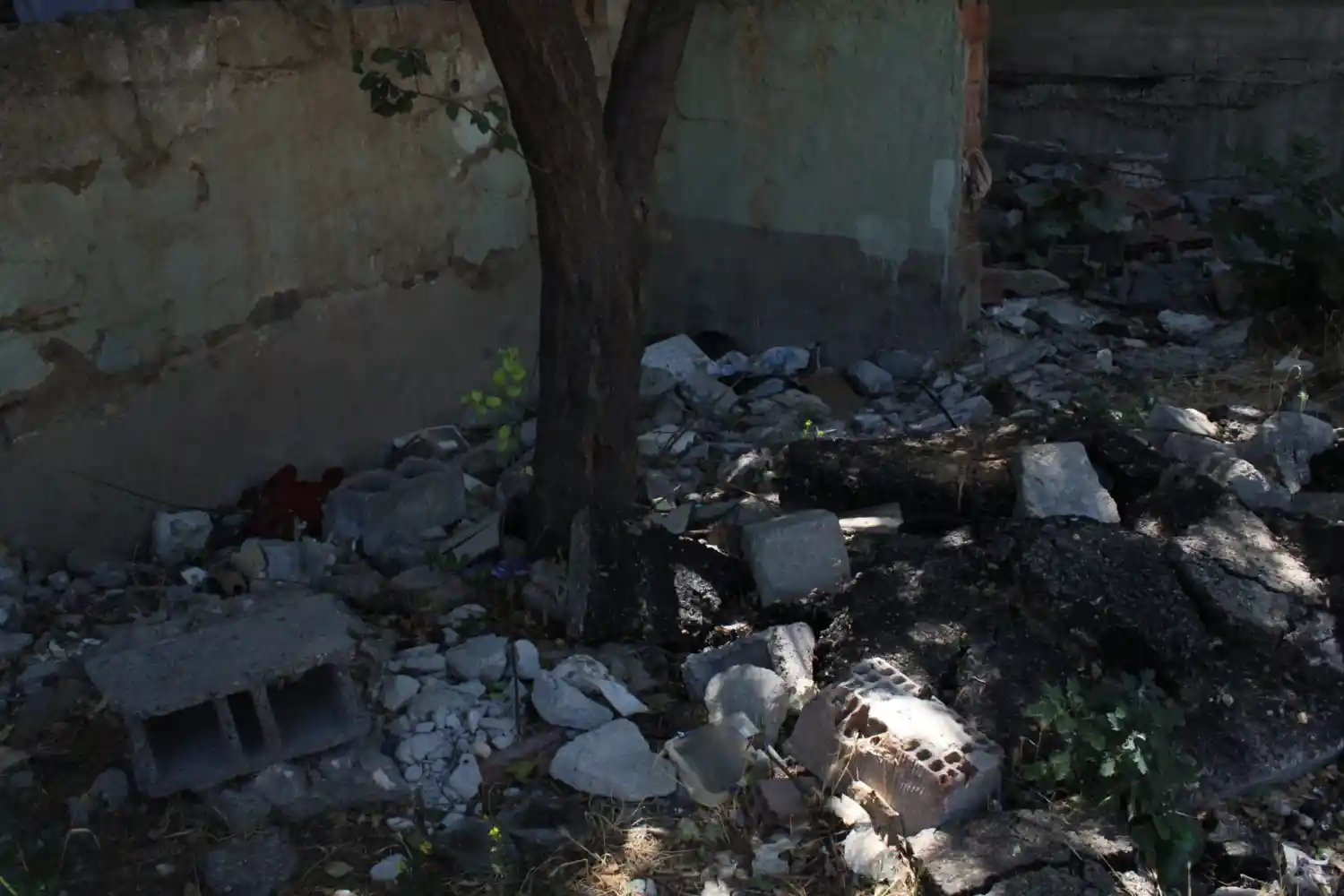tunali-002.webp